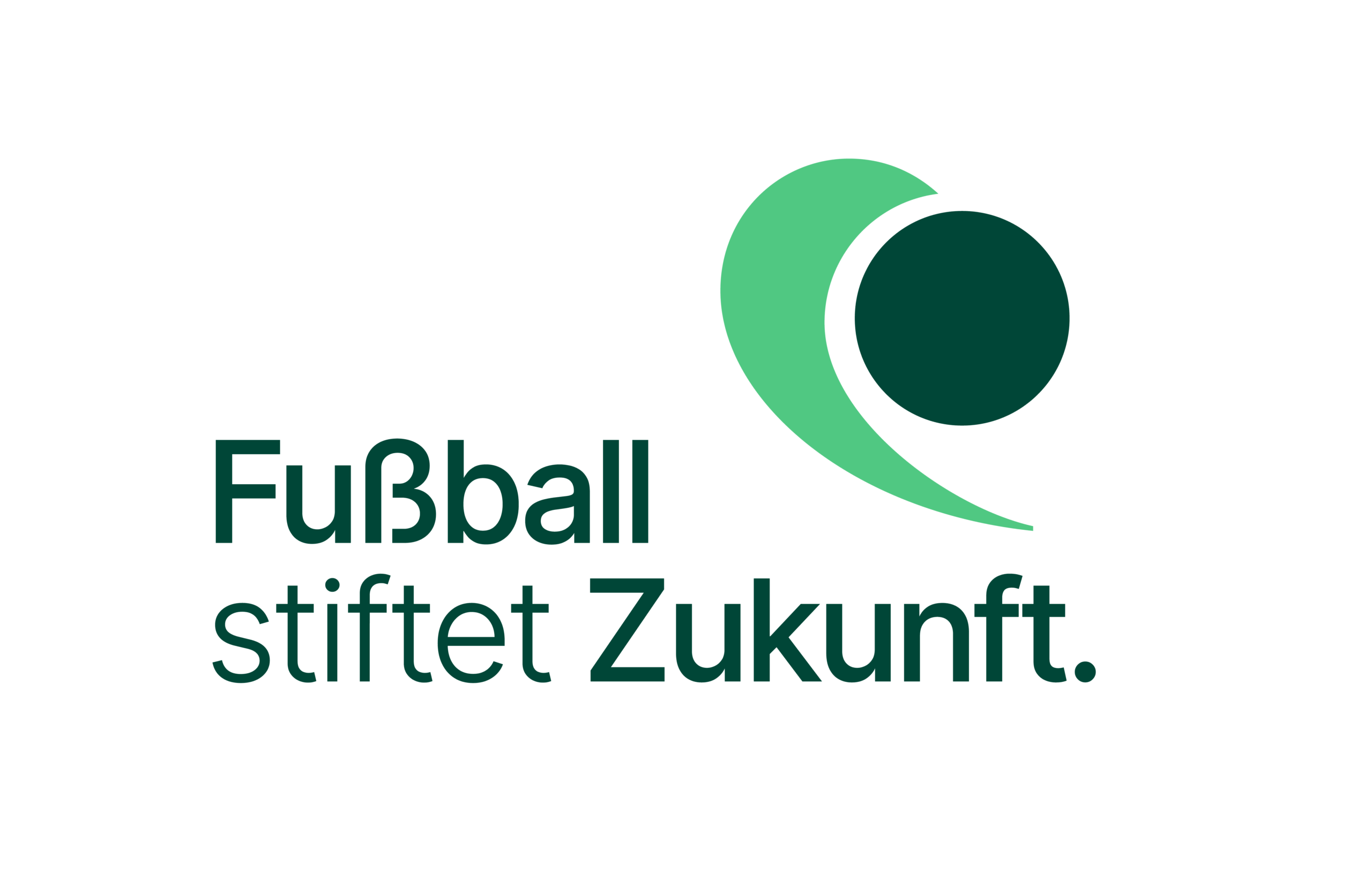 Fußball stiftet Zukunft logo