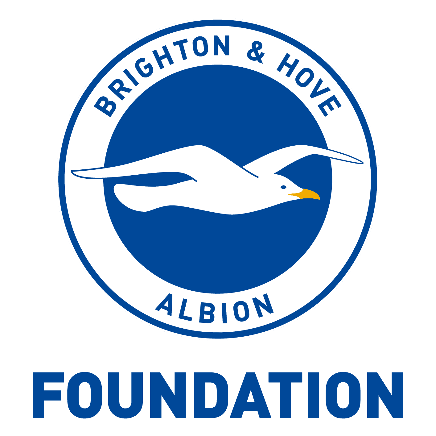 BHAFC Foundation logo