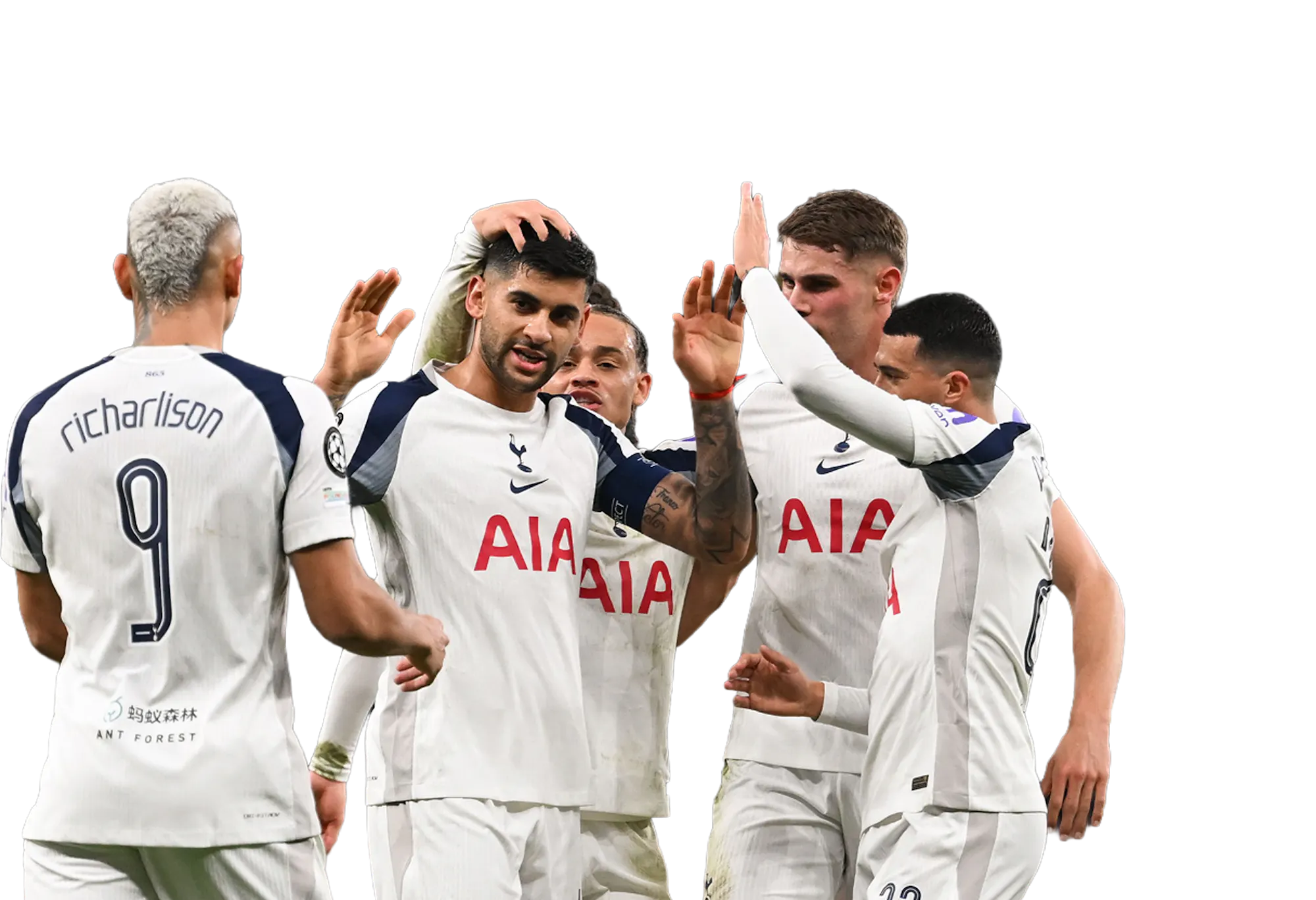 Tottenham Hotspur header image