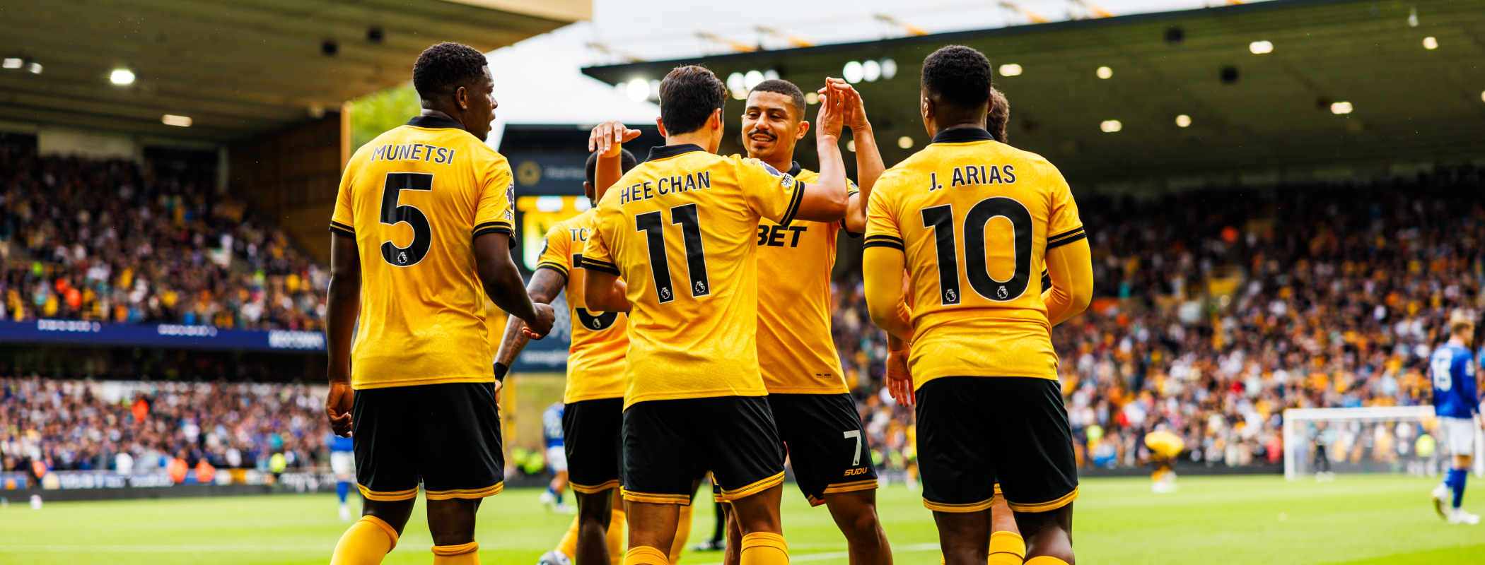 Wolverhampton Wanderers header image