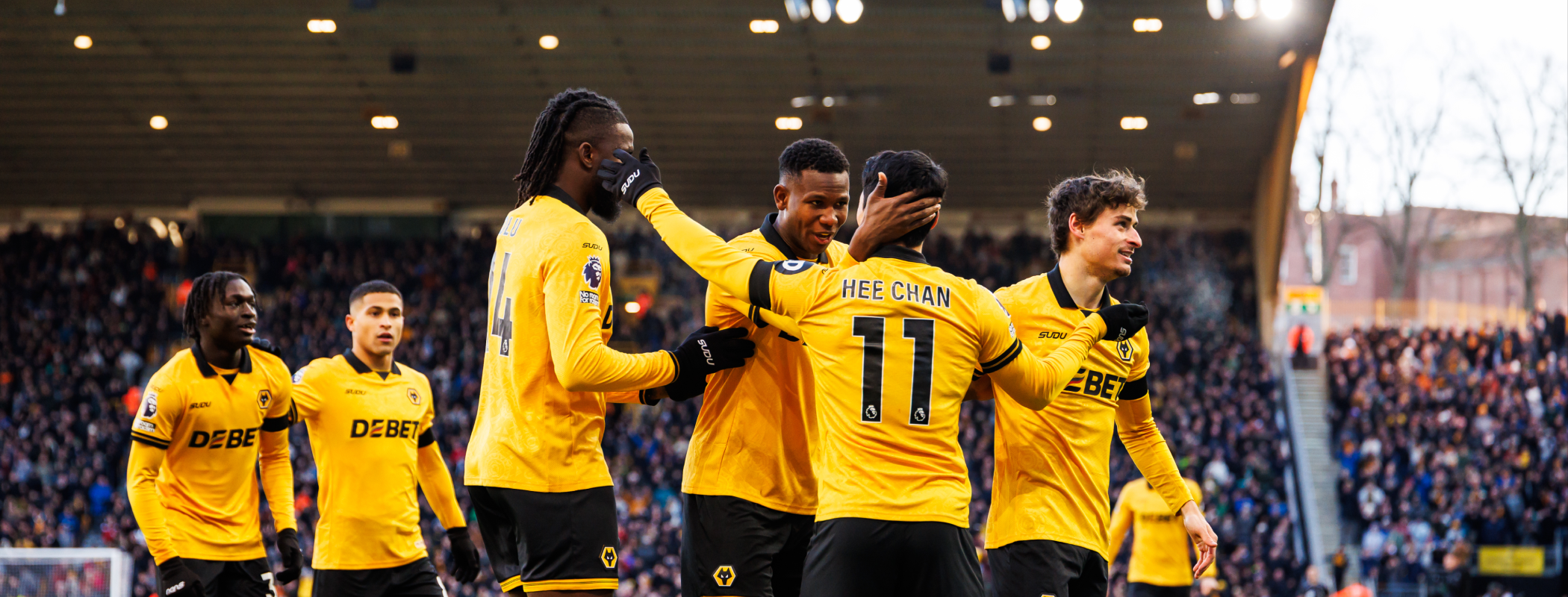 Wolverhampton Wanderers header image