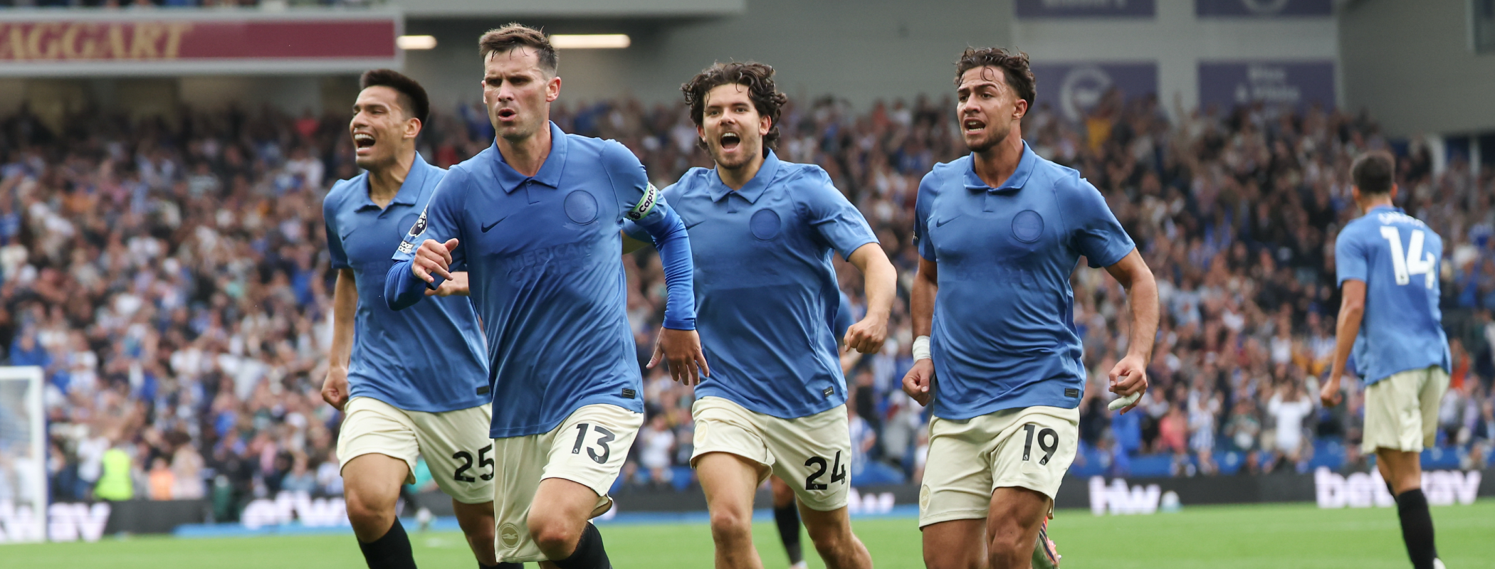 Brighton & Hove Albion header image