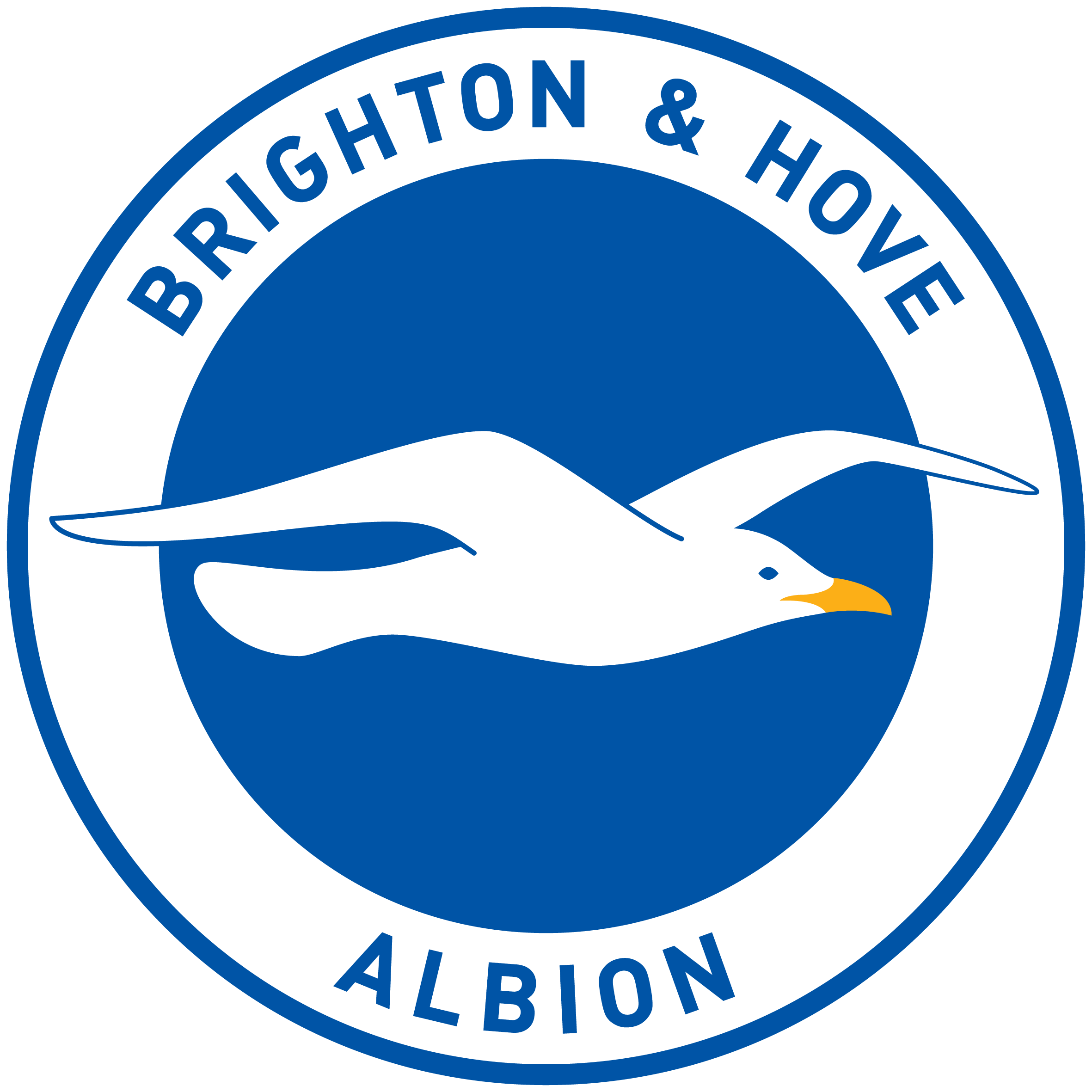 Brighton & Hove Albion category logo