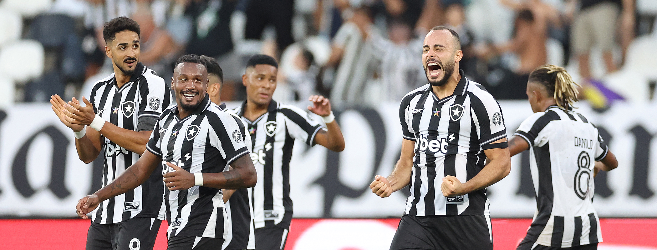 Botafogo - Vitória header image