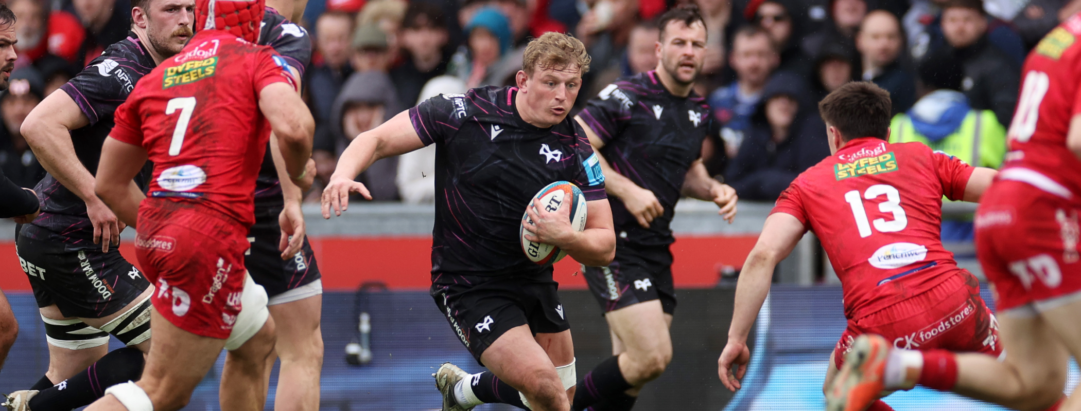 Ospreys header image