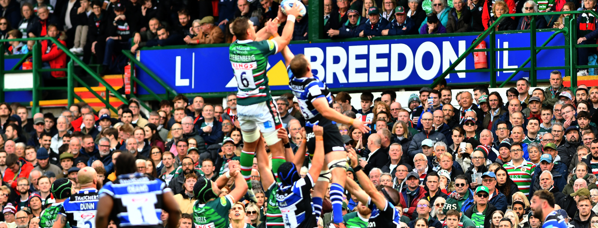 Leicester Tigers header image