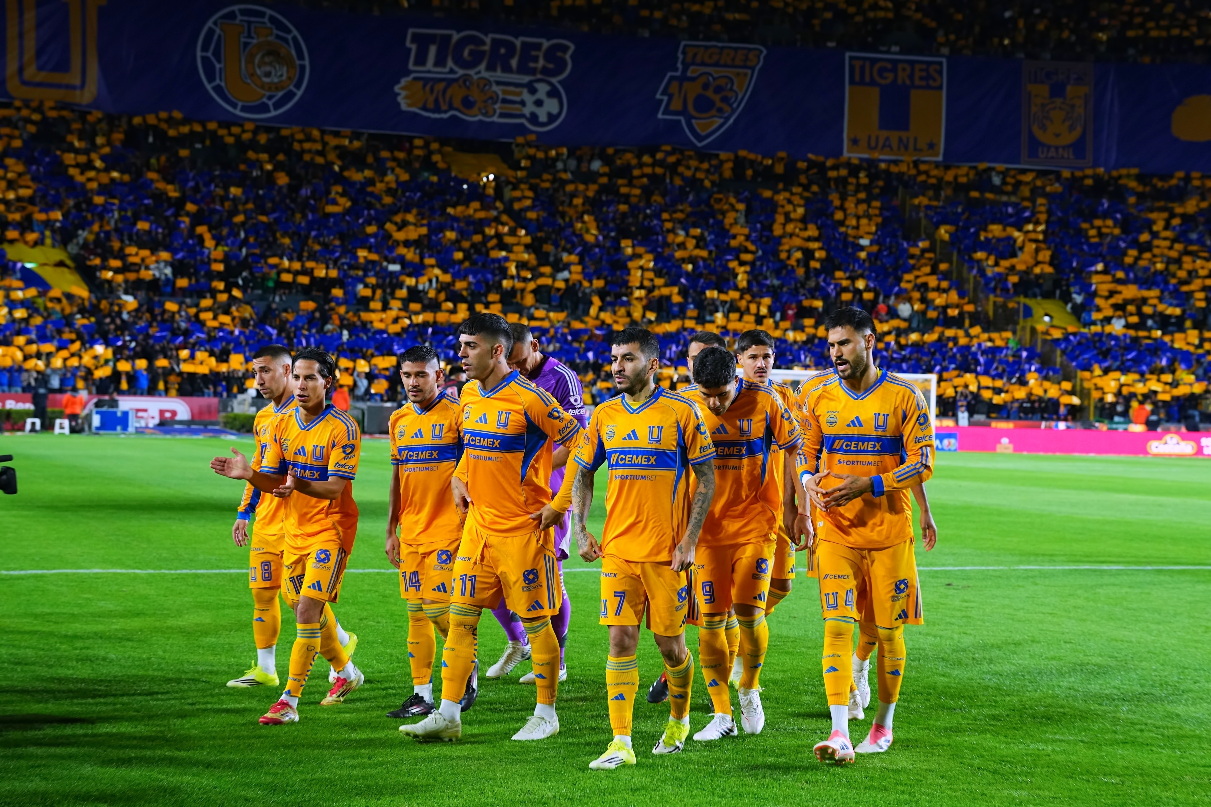 Tigres UANL header image