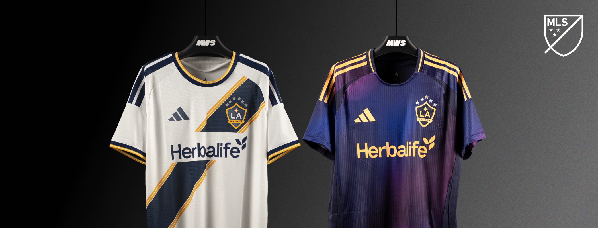 LA Galaxy - Houston Dynamo FC header image