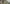 Wellington Phoenix W header image