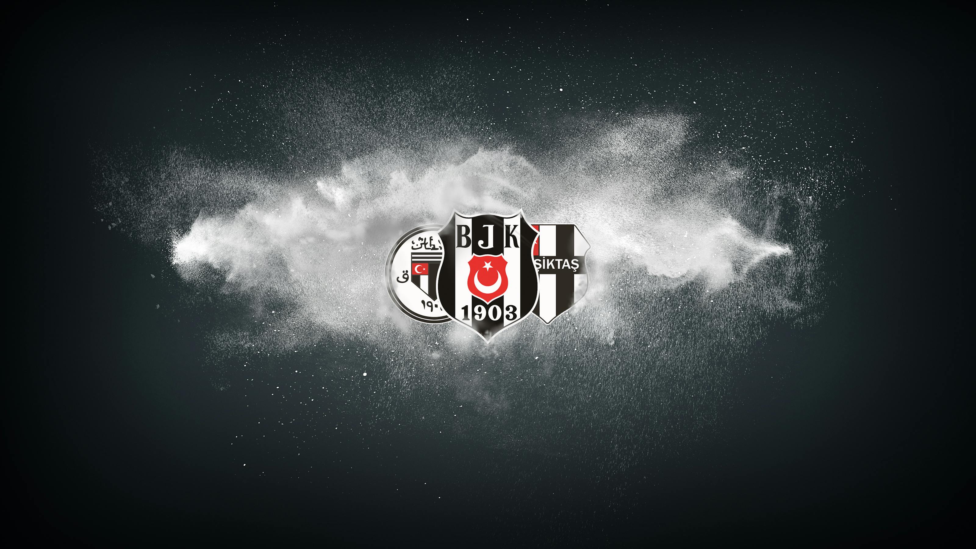 Beşiktaş Fibabanka header image