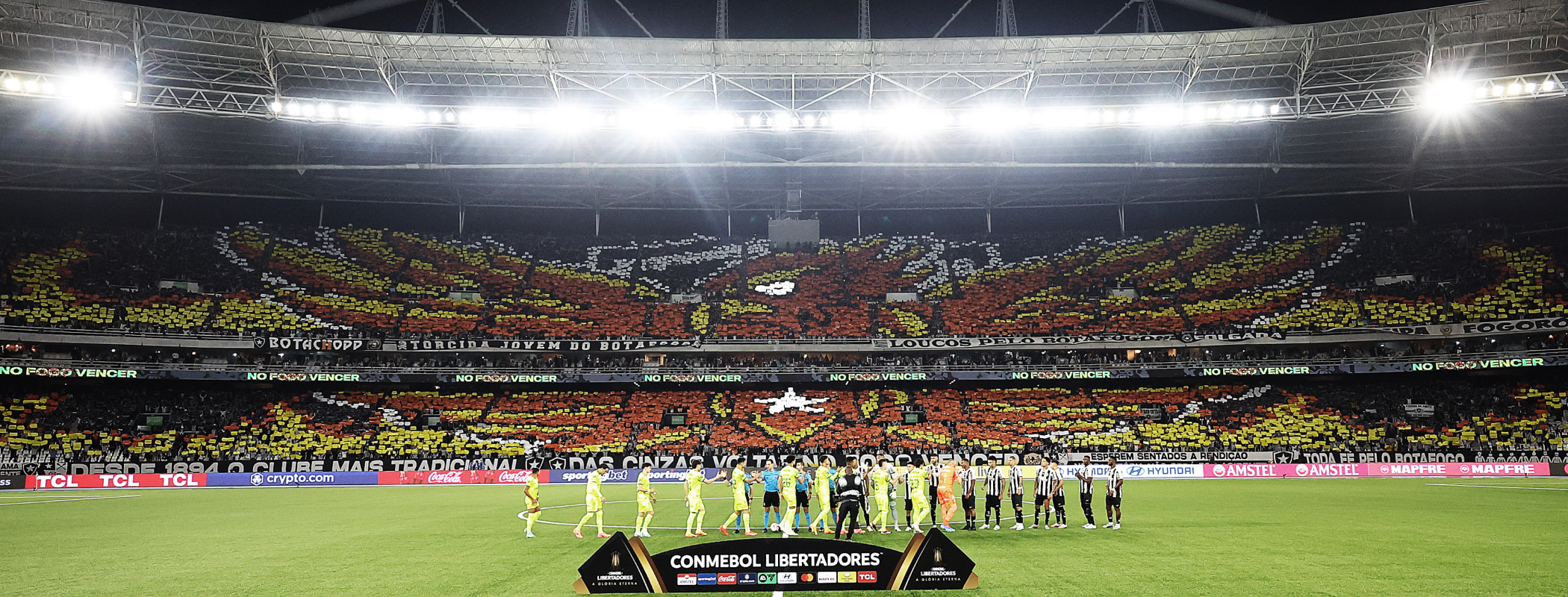 event banner for Botafogo - Palmeiras