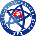 Wales W - Slovakia W logo