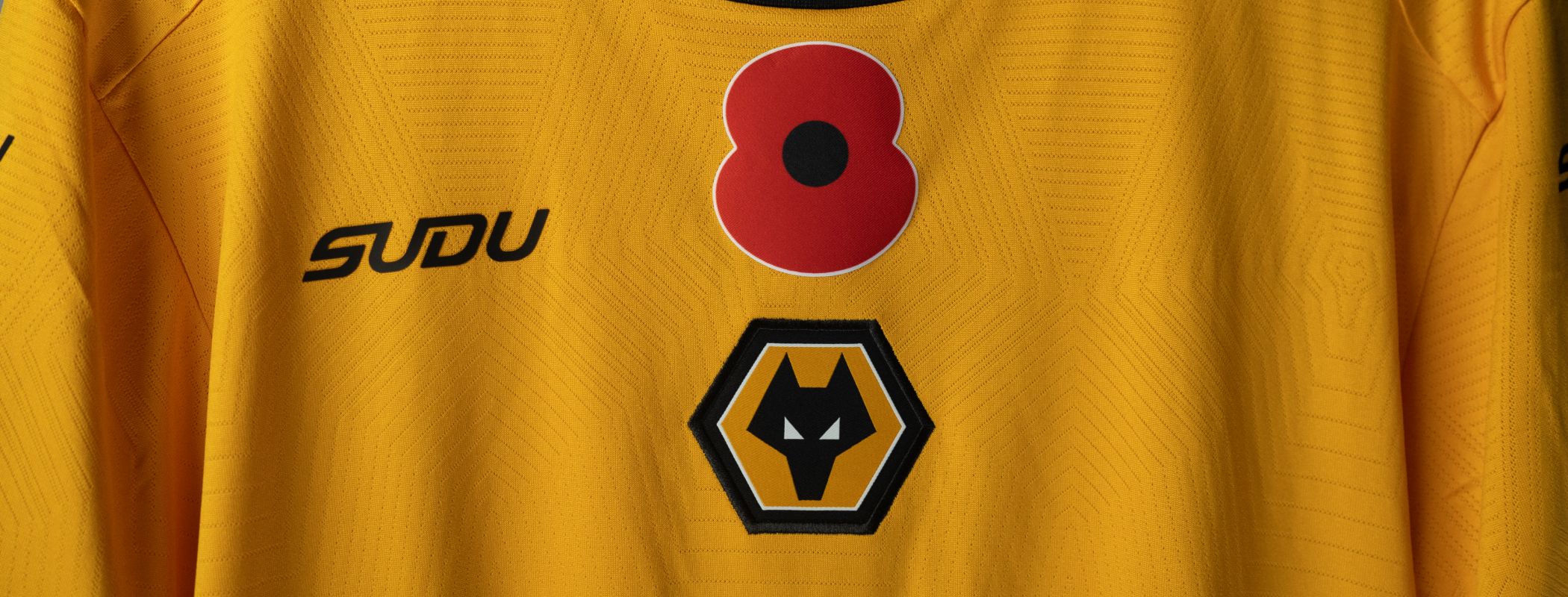 event banner for Wolverhampton Wanderers - Southampton