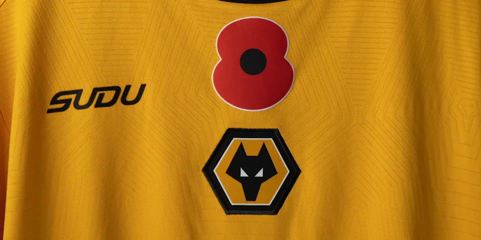 event banner for Wolverhampton Wanderers - Southampton