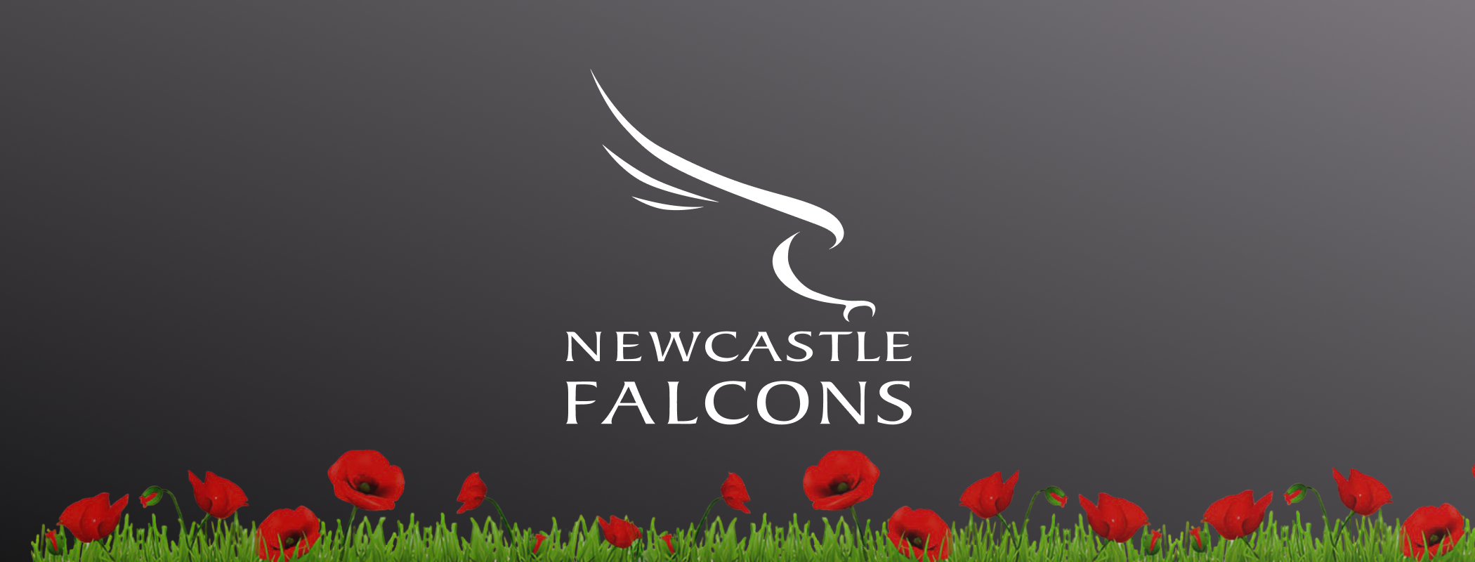 event banner for Newcastle Falcons - Doncaster Knights