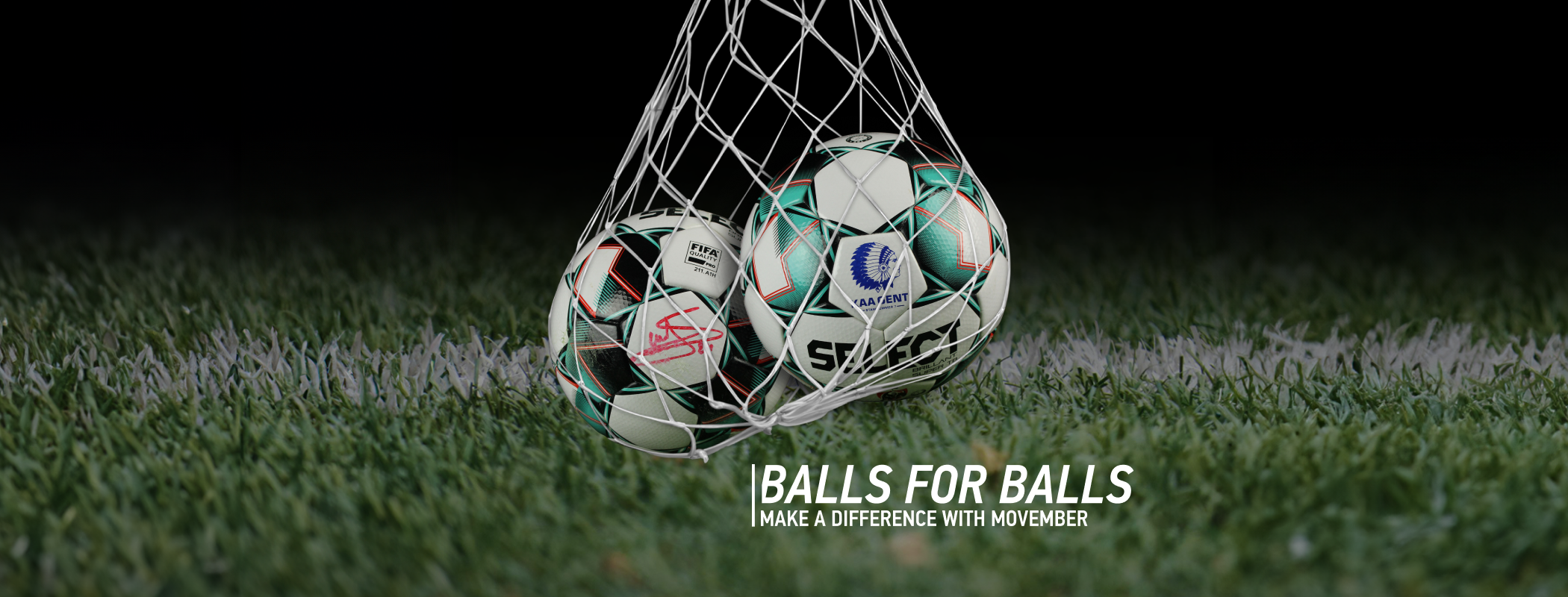 Movember | Belgium  header image