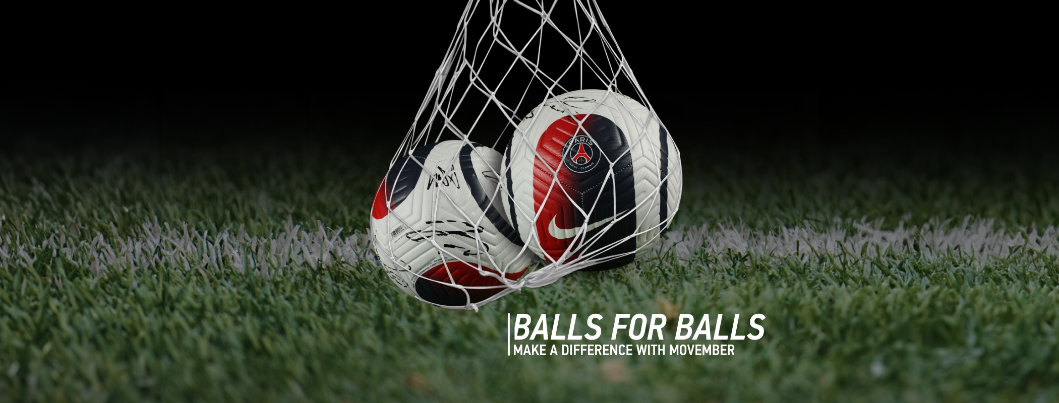 Movember | France  header image