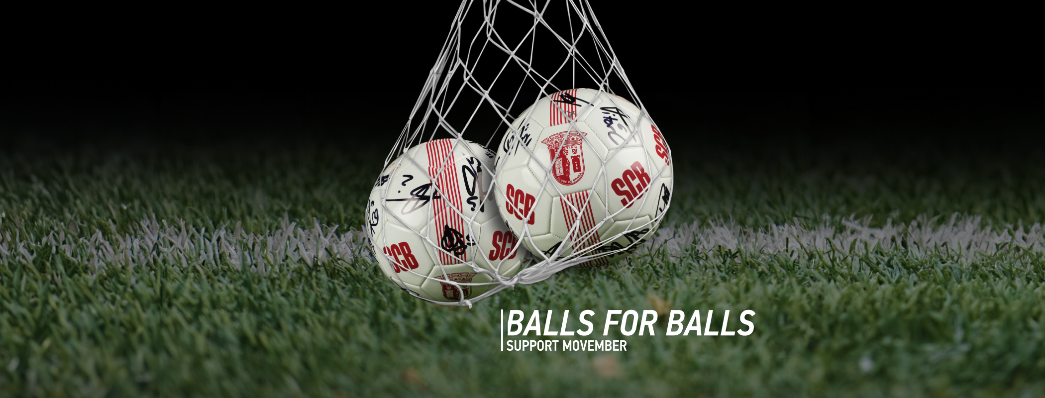 Movember | Portugal  header image