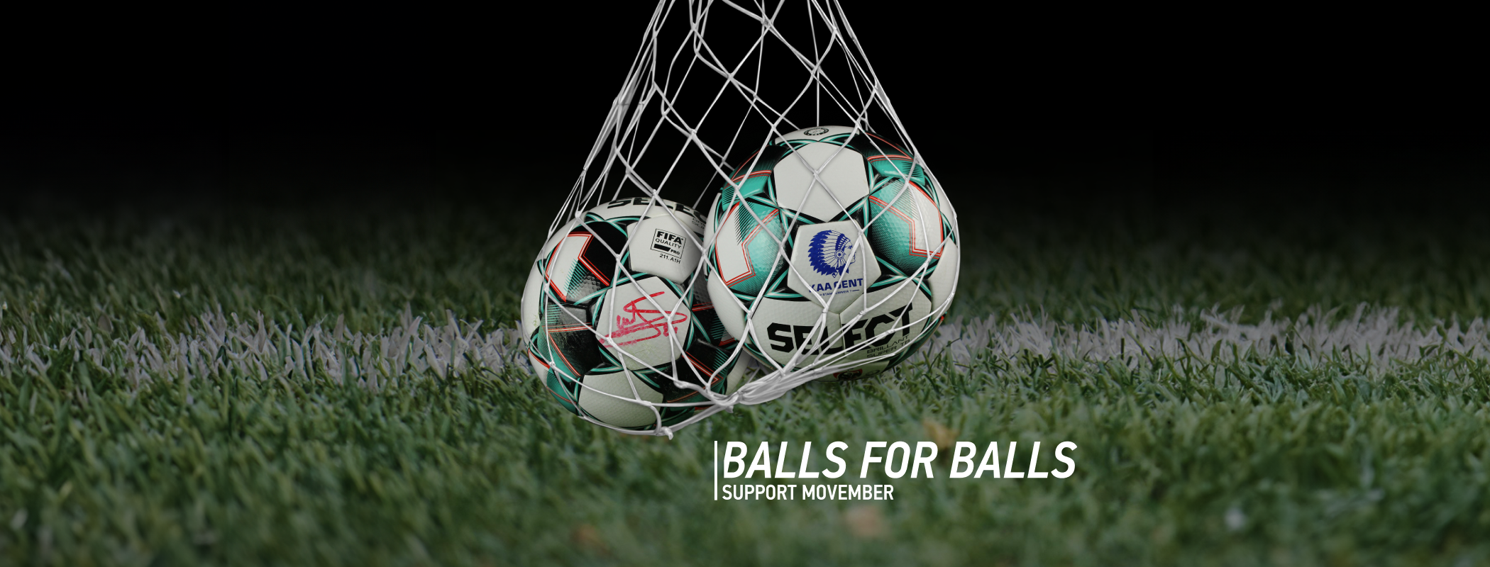 Movember | Belgium  header image
