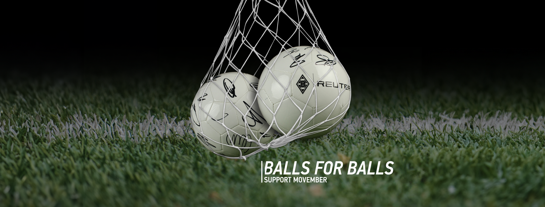 Movember | Germany  header image