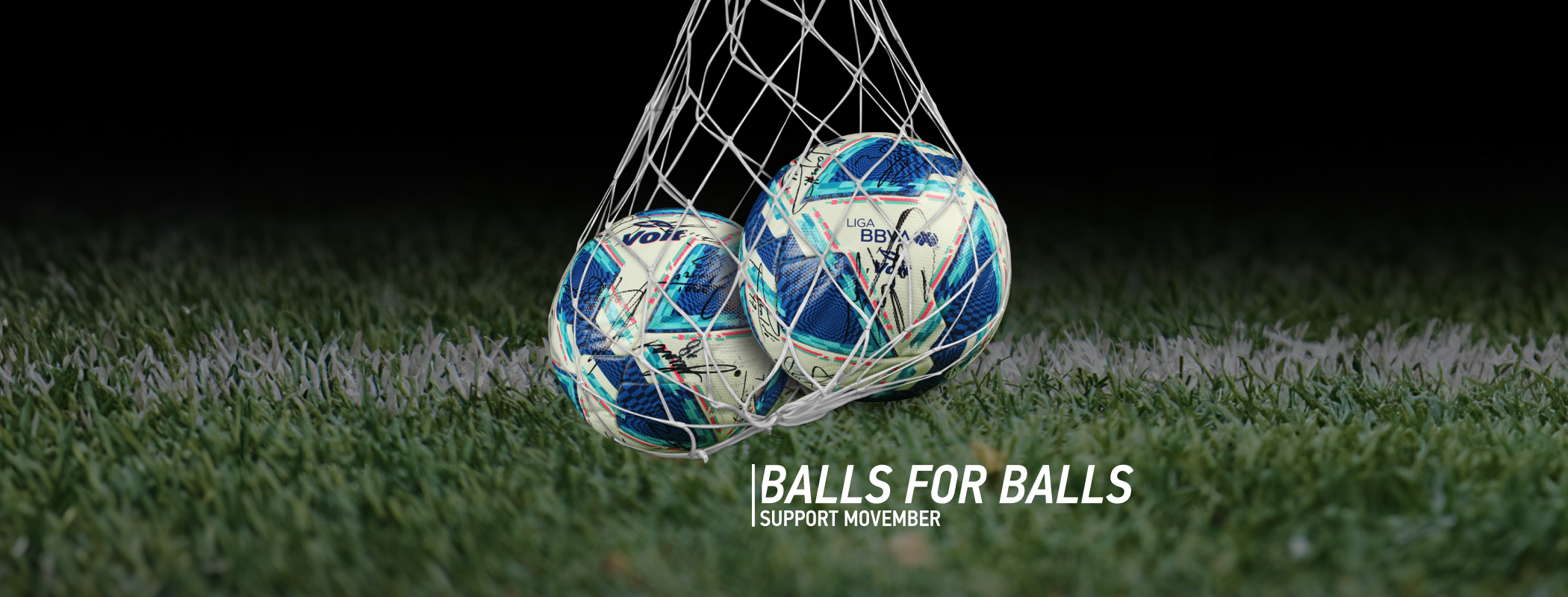 Movember | Mexico  header image