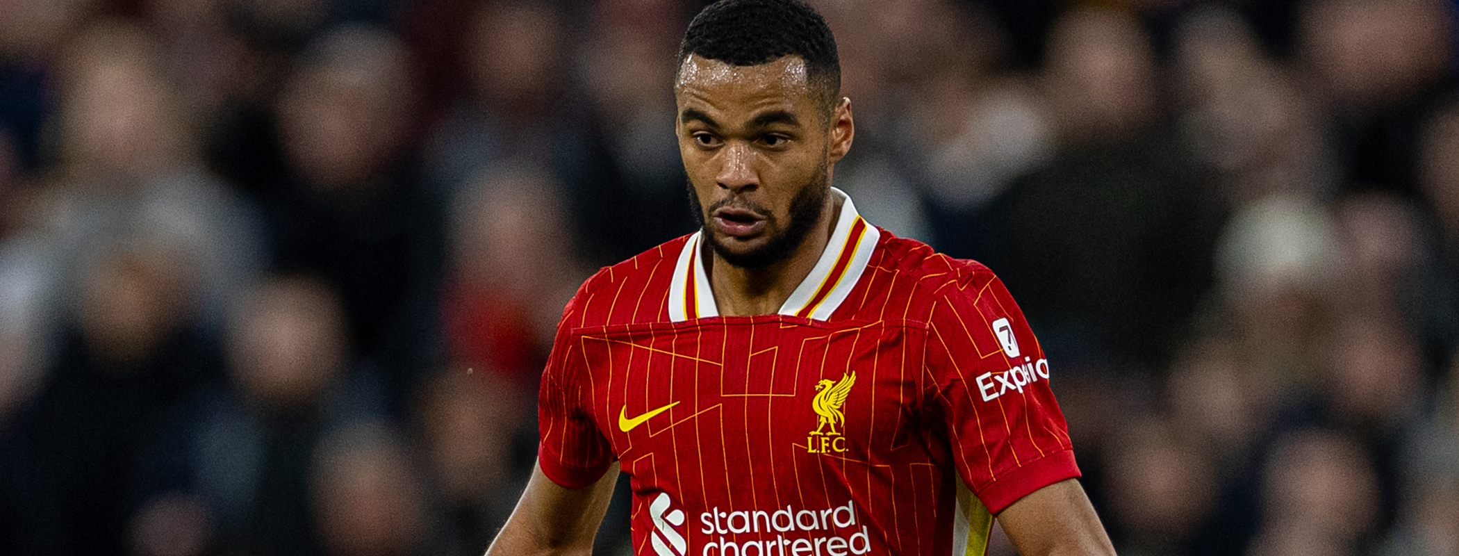 event banner for Liverpool - Brighton & Hove Albion