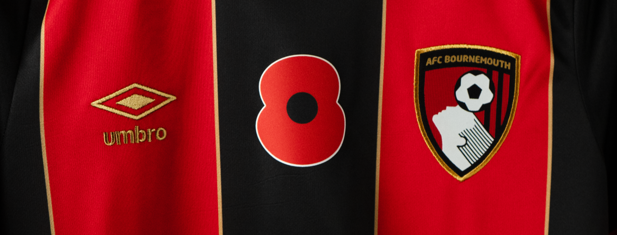 event banner for AFC Bournemouth - Manchester City