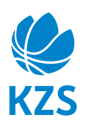 Slovenia EuroBasket Special logo