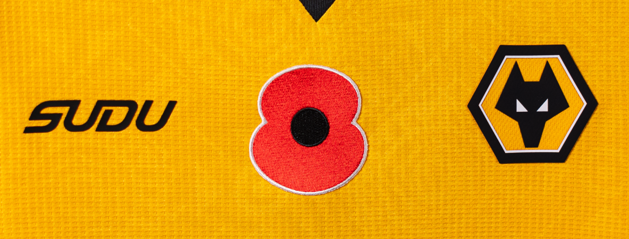 Fulham - Wolverhampton Wanderers header image