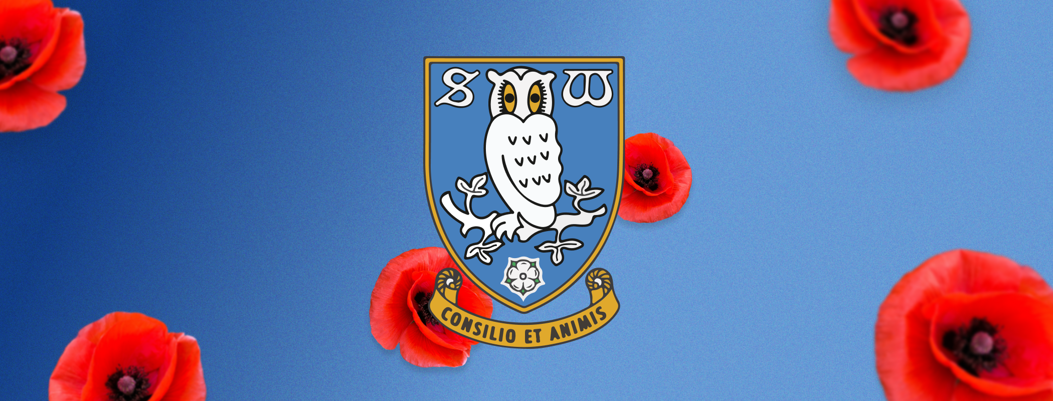 Sheffield Wednesday - Norwich City header image