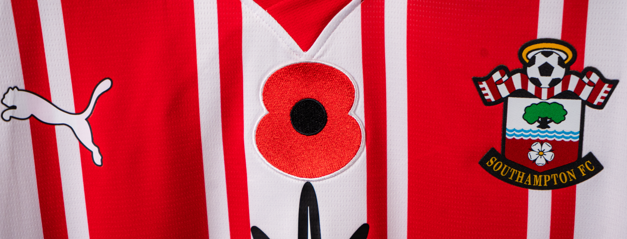 Southampton Poppy Appeal Special header image