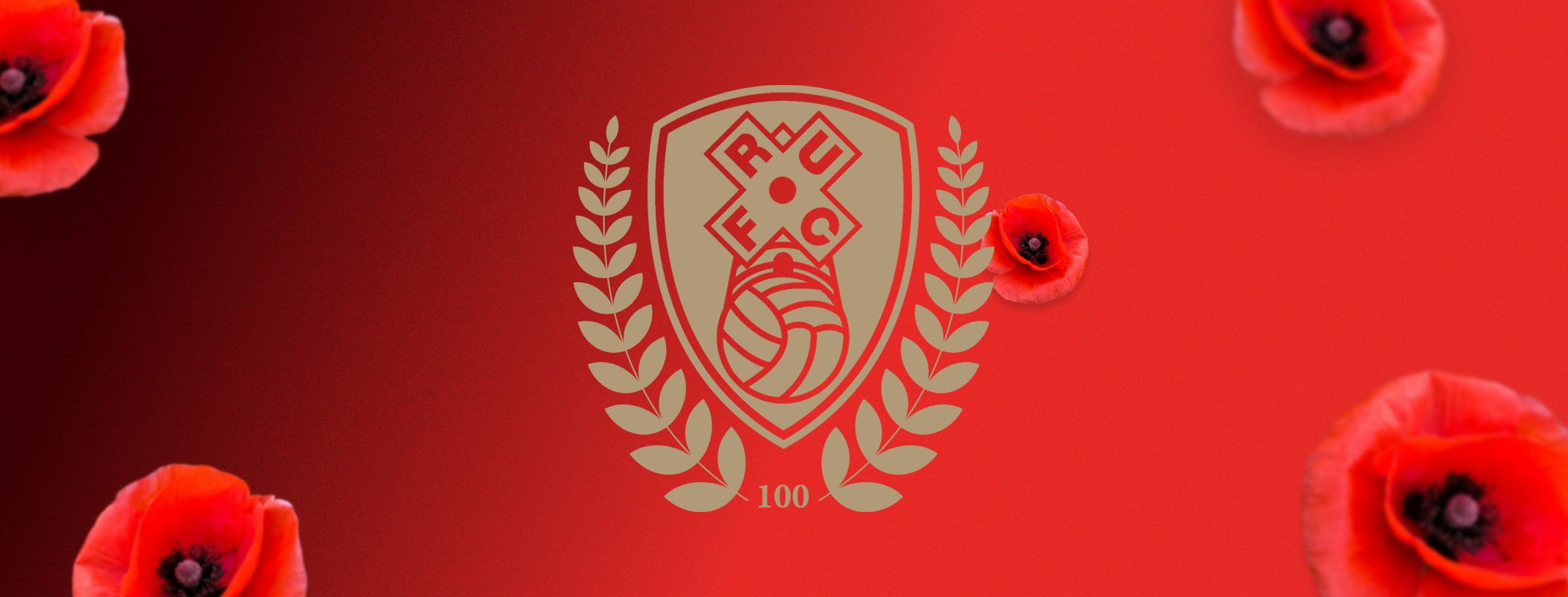 Rotherham United - Lincoln City header image