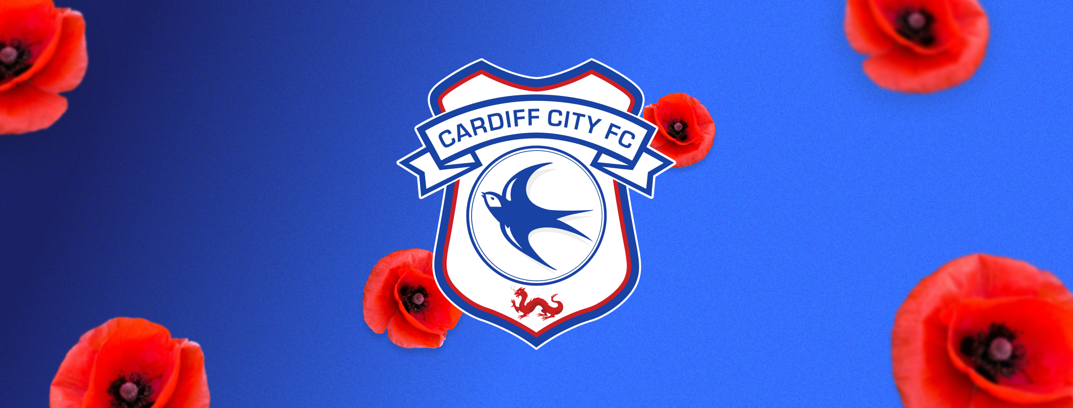 Cardiff City FC - Arsenal U21 header image