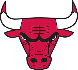 Chicago Bulls logo