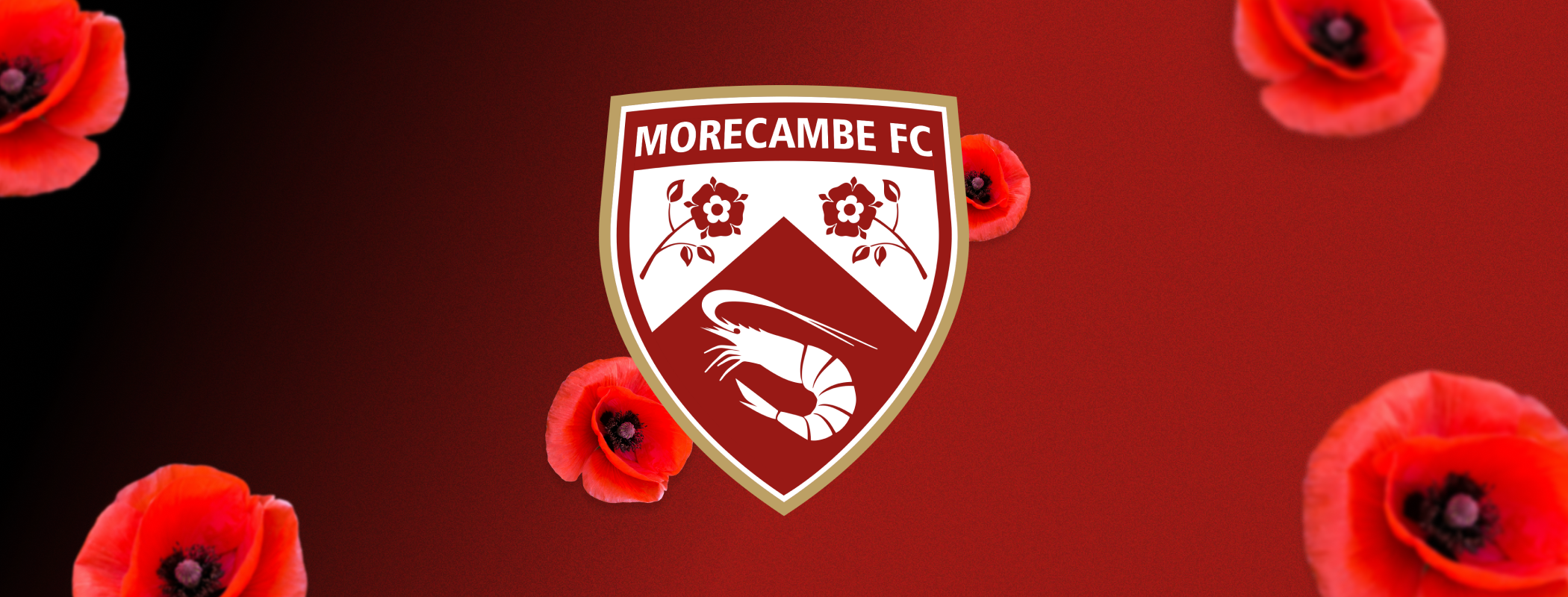 Morecambe - Sutton United header image