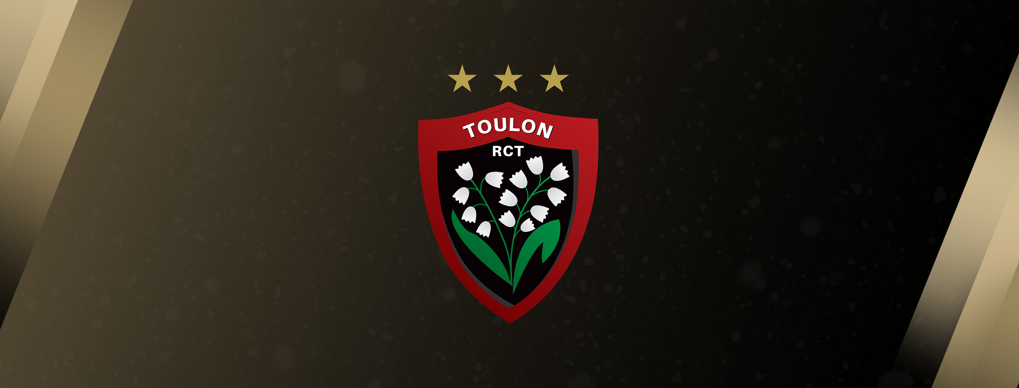 event banner for RC Toulonnais - USA Perpignan