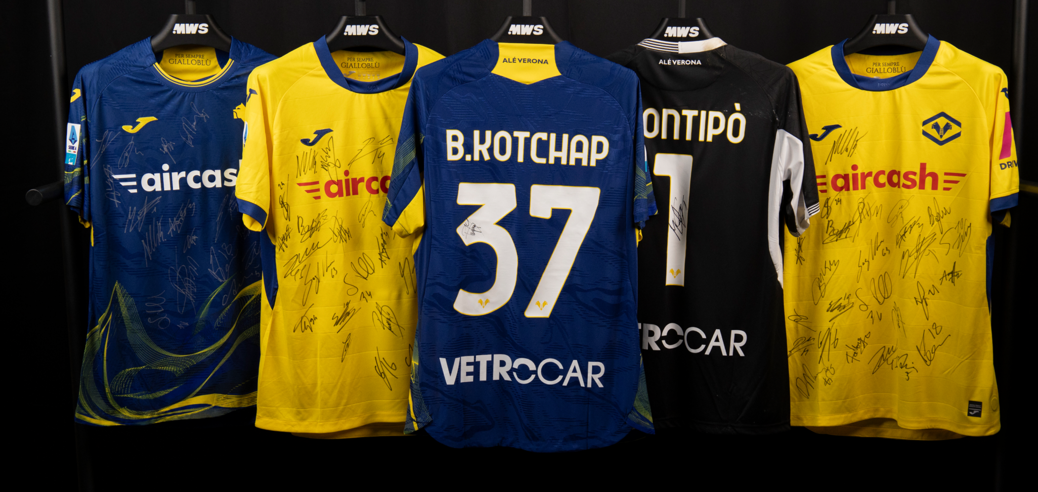 Hellas Verona | Charity Auction header image