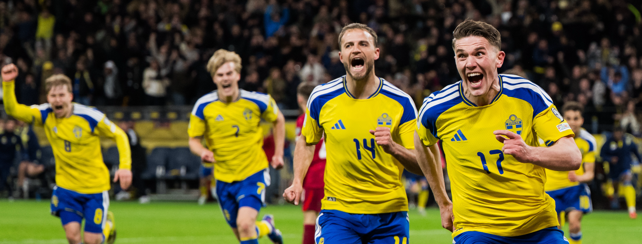 event banner for Sweden - Poland