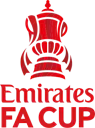 Emirates FA Cup Semi-Final Match Balls Special logo