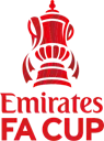 Emirates FA Cup Semi-Final Match Balls Special logo
