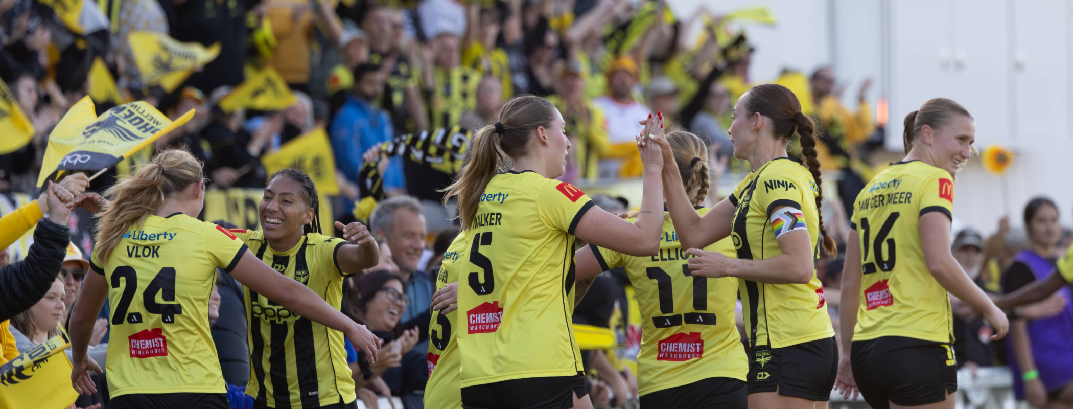 Melbourne City W - Wellington Phoenix W header image