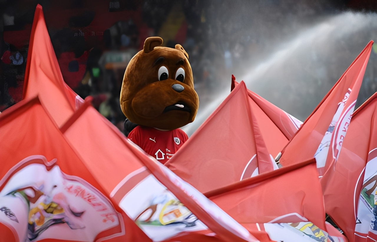 Barnsley F.C | Limited Edition Toby Tyke Auction header image