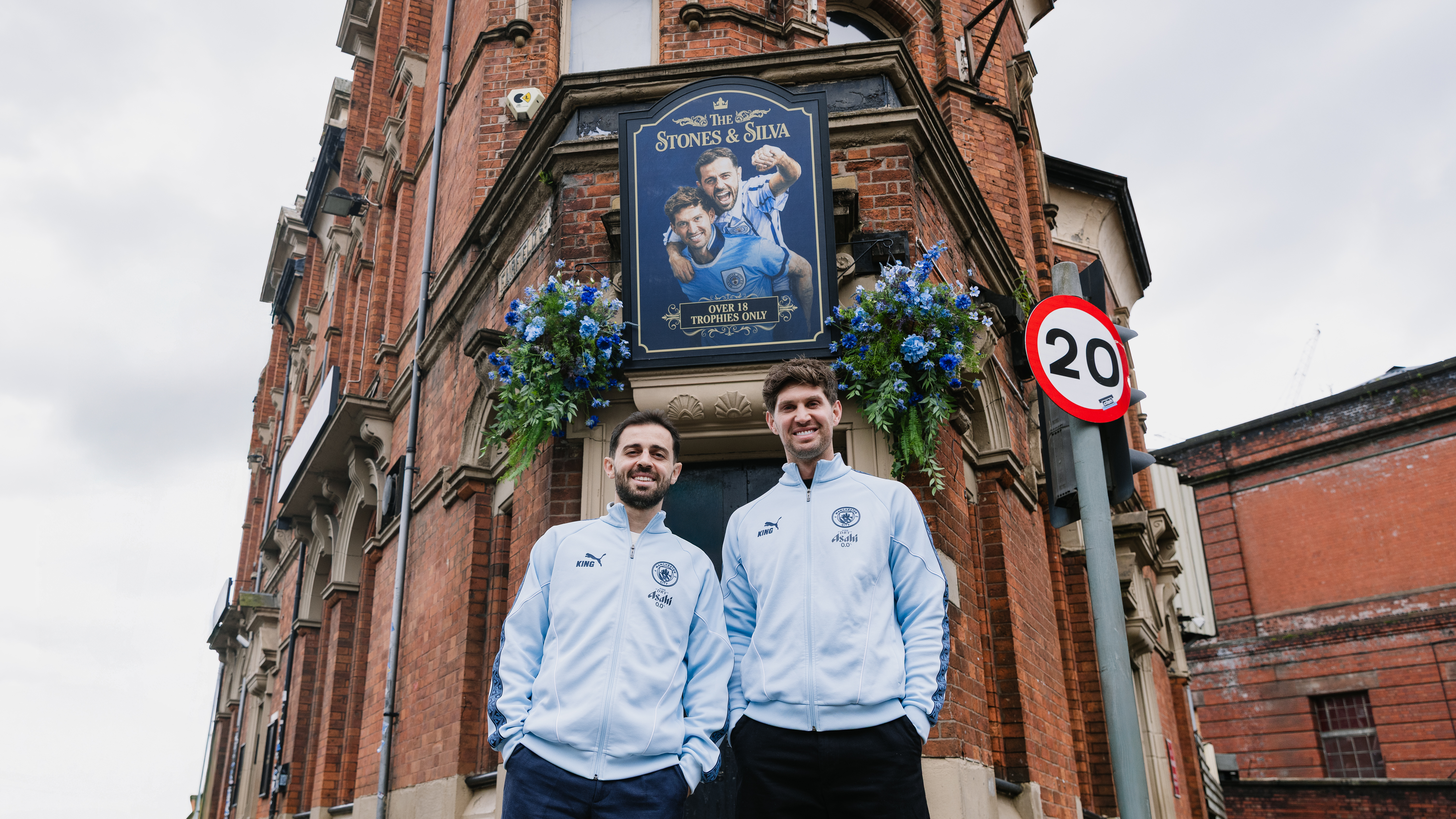 The Stones and Silva Collection header image