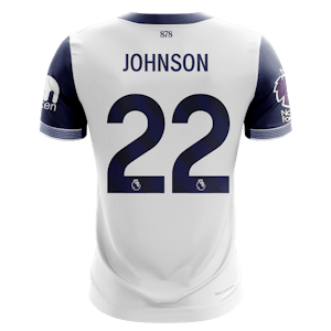 Brennan Johnson Tottenham Hotspur shirt