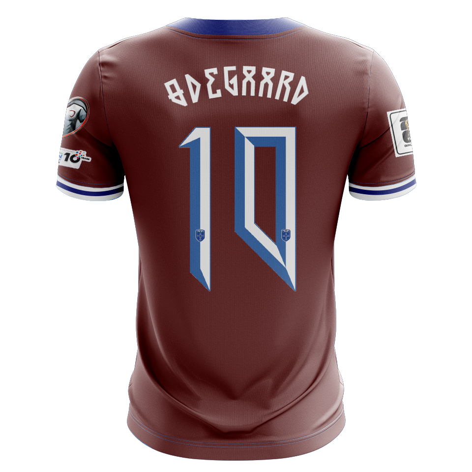 Martin Ødegaard | MatchWornShirt