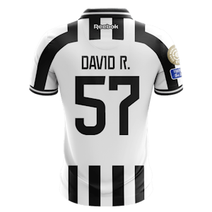 David Ricardo Loiola da Silva Botafogo shirt