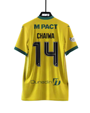 Shirt van Miguel Chaiwa Hibernian