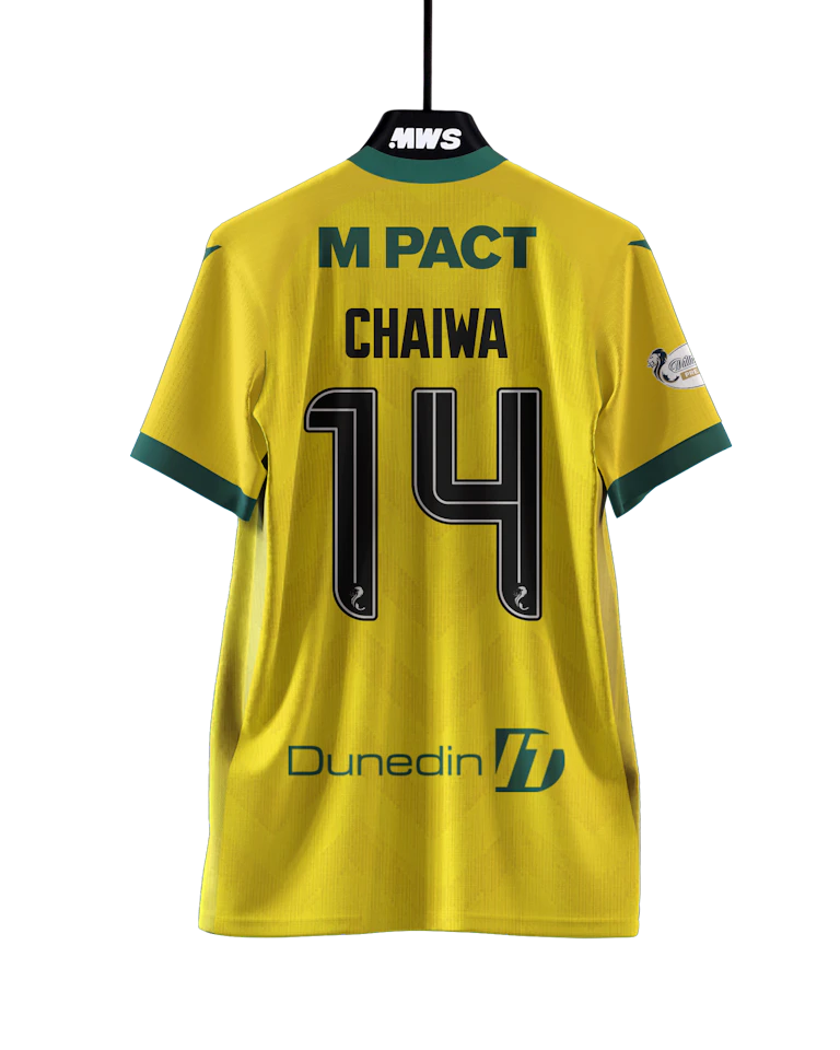 Shirt van Miguel Chaiwa Hibernian