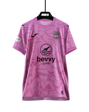Raphael Sallinger Hibernian jersey