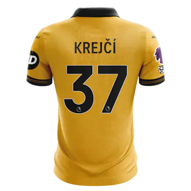 来自Wolverhampton Wanderers的Ladislav Krejčí球衣